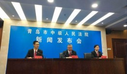 青岛民间爆料案件最新情况,疑点重重，真相渐明