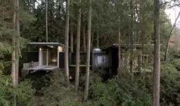 爸爸的小木屋在线观看