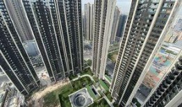 深圳龙华最新爆料完整,揭秘区域发展新动向与未来规划